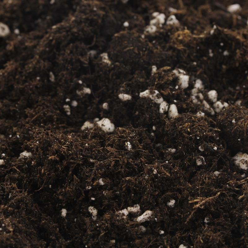 BioBizz Light Mix 50L