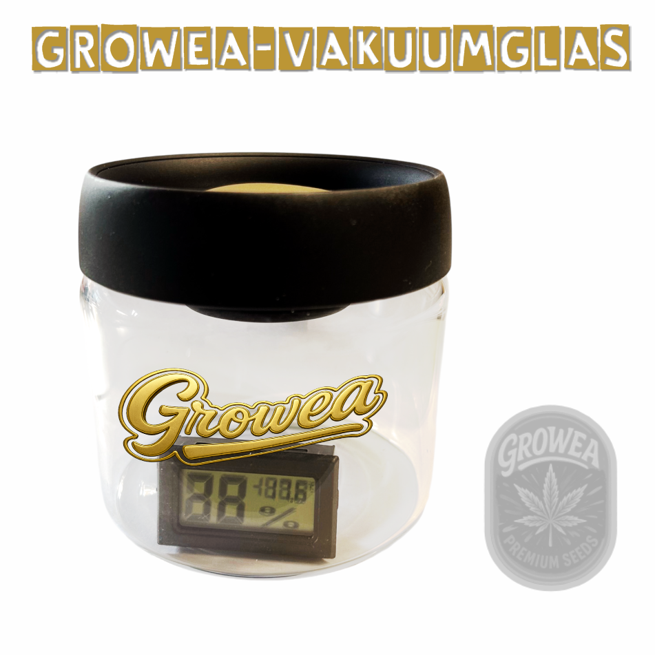 Growea Vakuum-Glas – Fermentation & Aufbewahrung