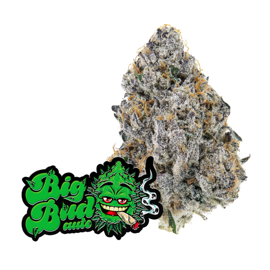 Auto Big Bud