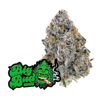 Auto Big Bud