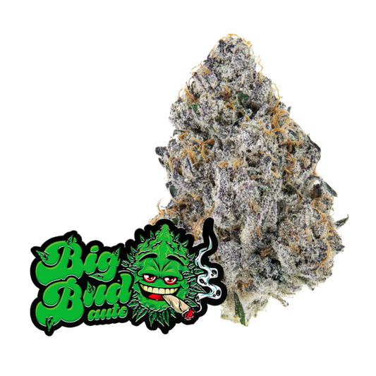 Auto Big Bud