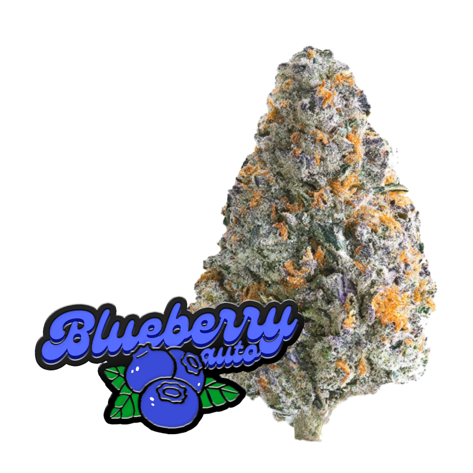 Original Auto Blueberry