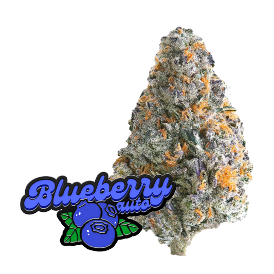 Original Auto Blueberry