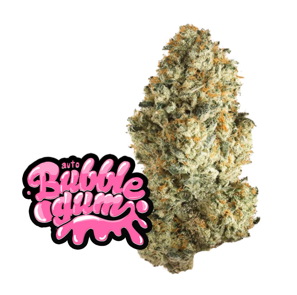 Original Auto BubbleGum