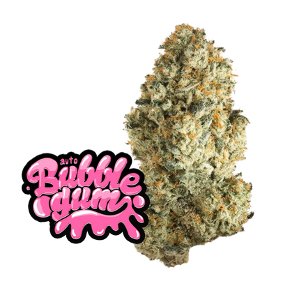 Original Auto BubbleGum