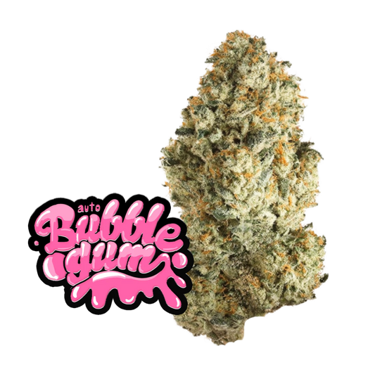 Original Auto BubbleGum