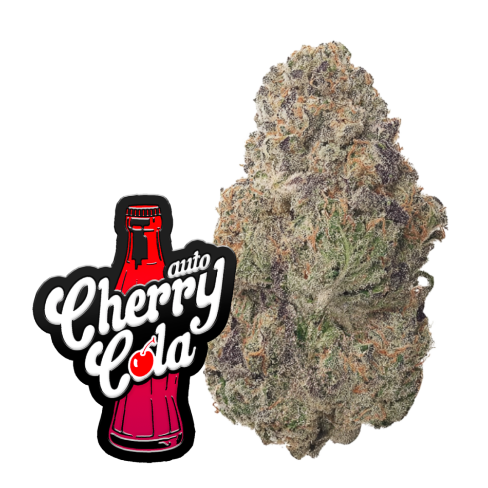 Cherry Cola Auto RF3