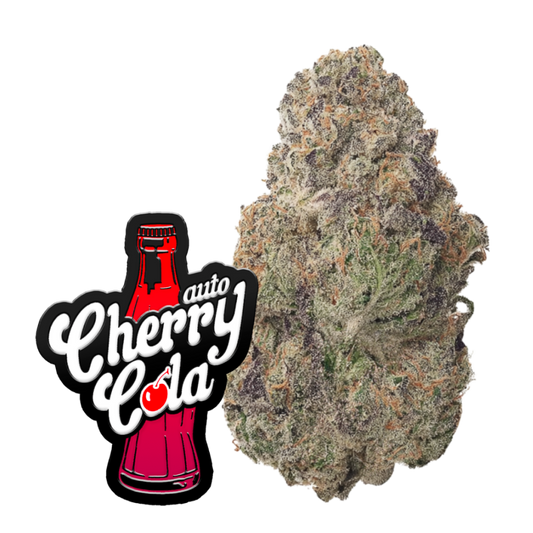 Cherry Cola Auto RF3