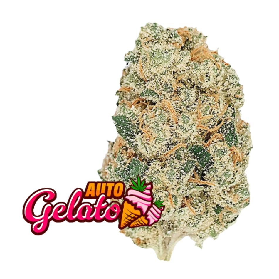 Gelato Auto