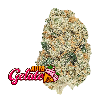 Gelato Auto