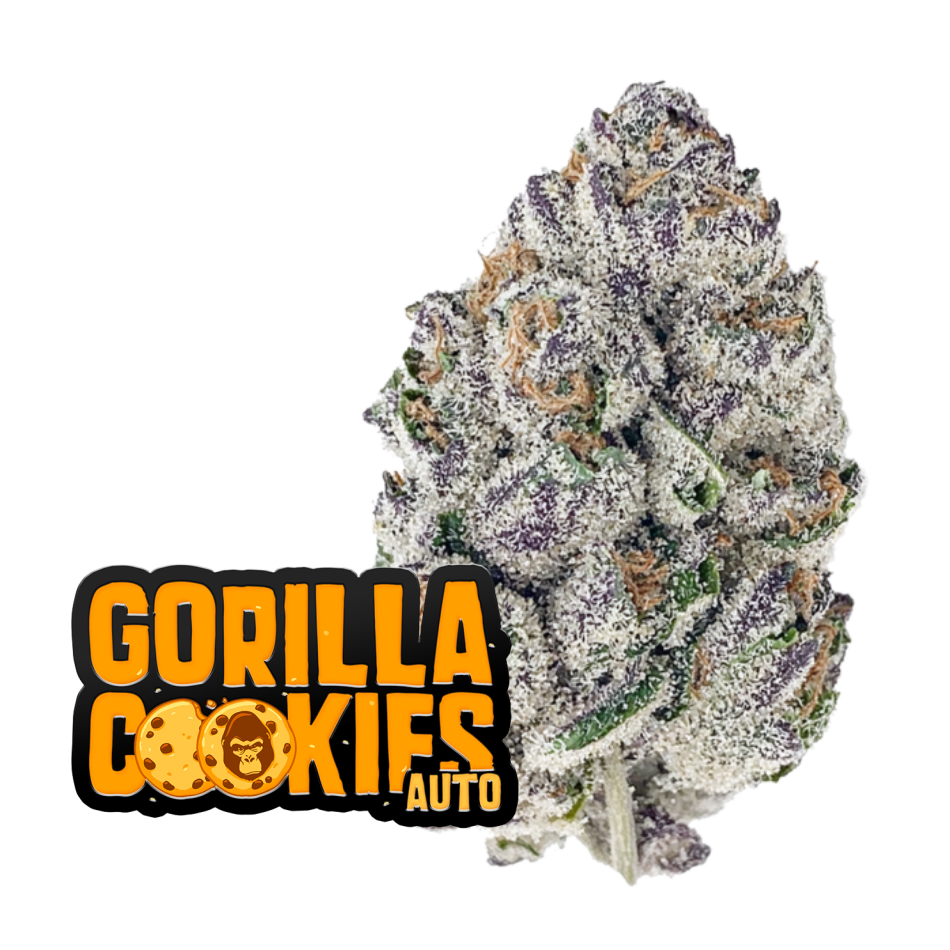 Gorilla Cookies Auto
