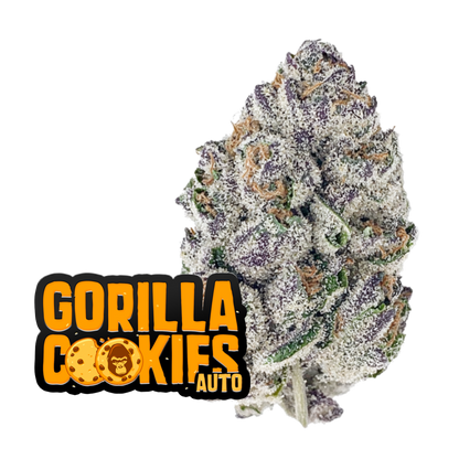 Gorilla Cookies Auto