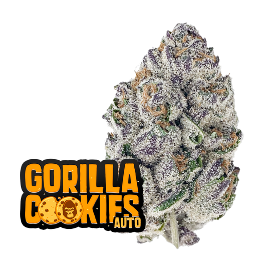 Gorilla Cookies Auto