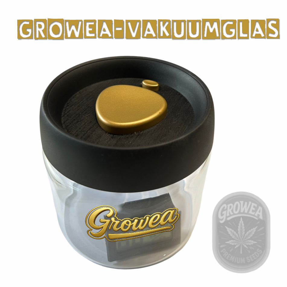 Growea Vakuum-Glas – Fermentation & Aufbewahrung