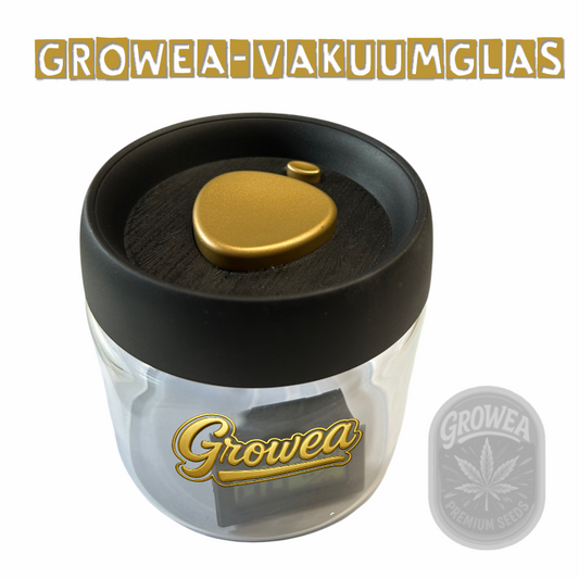 Growea Vakuum-Glas – Fermentation & Aufbewahrung