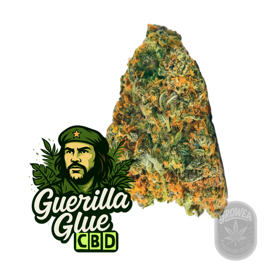 Auto Guerilla Glue CBD