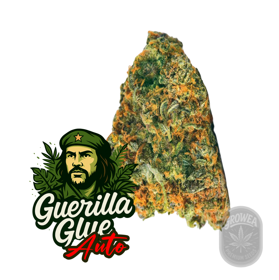 Guerilla Glue auto