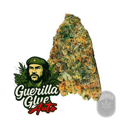 Guerilla Glue auto