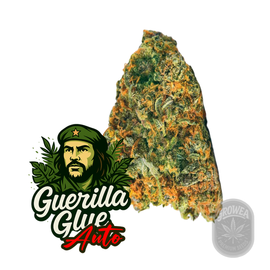 Guerilla Glue auto