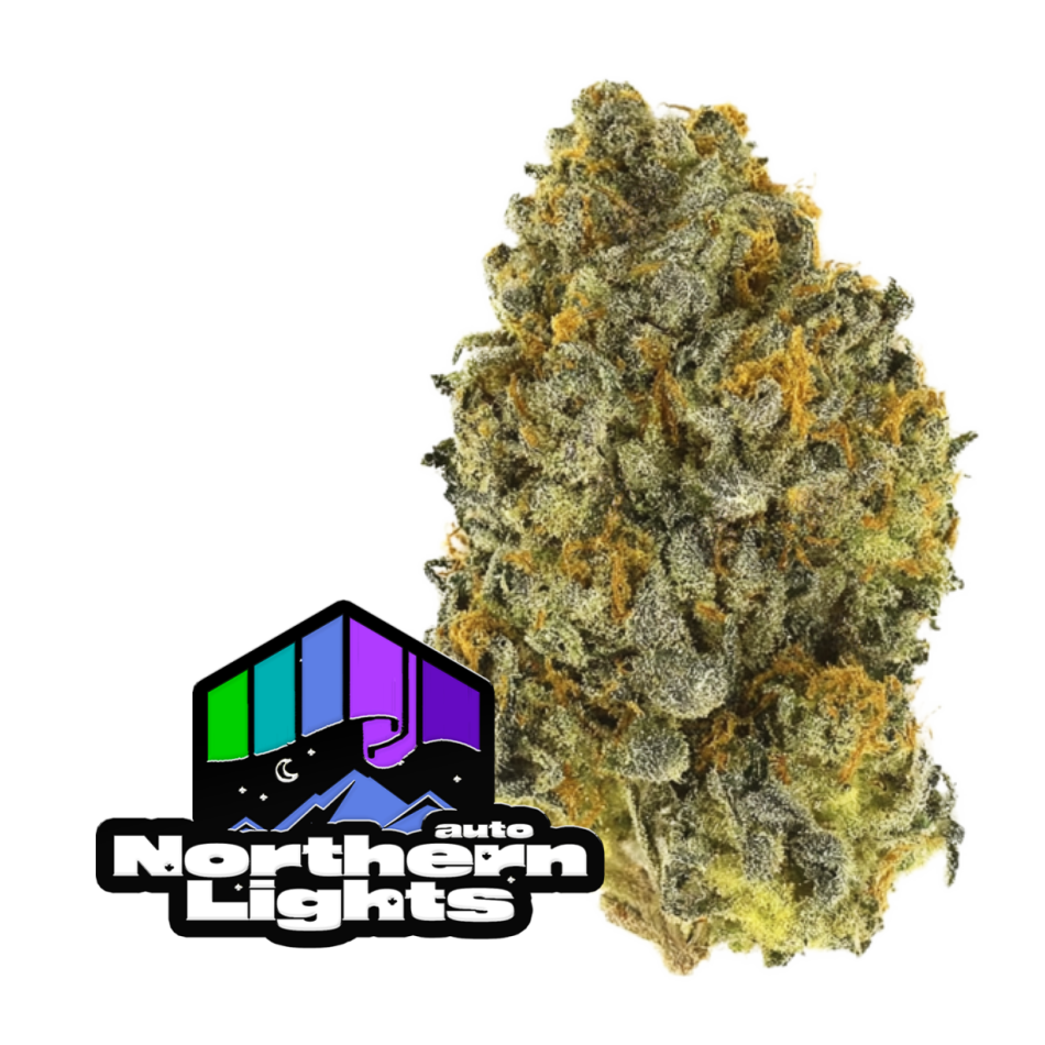 Original Auto Northern Lights