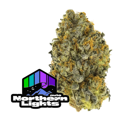 Original Auto Northern Lights