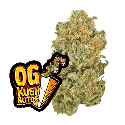 Original Auto OG Kush