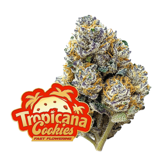 Tropicana Cookies FF