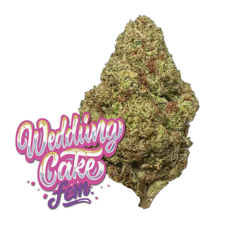 Wedding Cake fem.