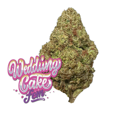 Wedding Cake fem.