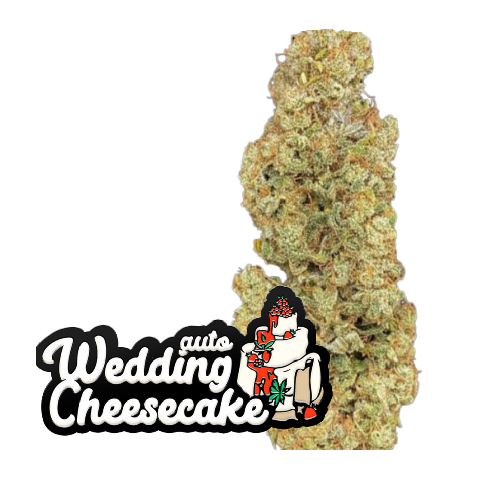 Wedding Cheesecake Auto