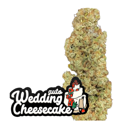 Wedding Cheesecake Auto