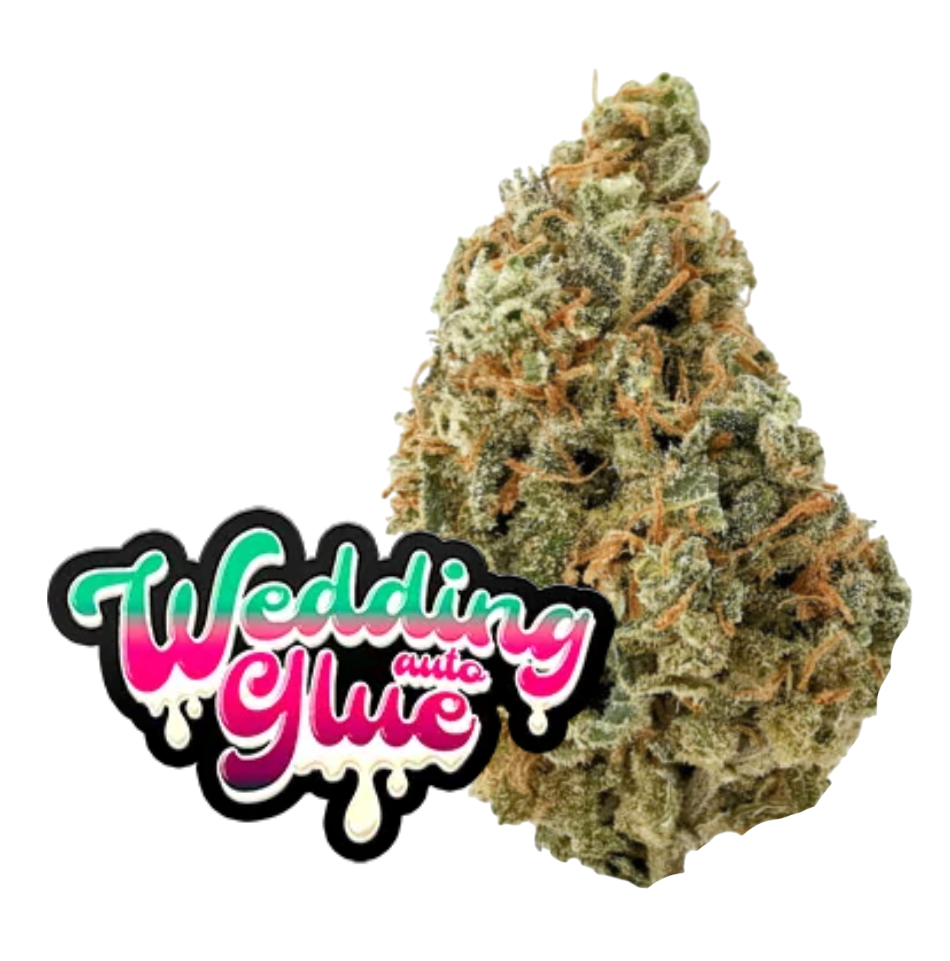 Wedding Glue Auto