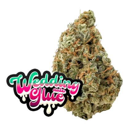 Wedding Glue Auto