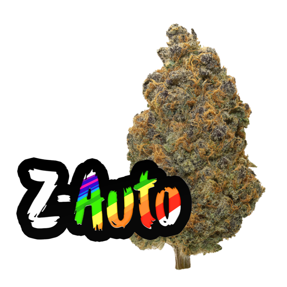 Z Auto ( Zkittlez Auto )
