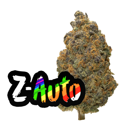 Z Auto ( Zkittlez Auto )