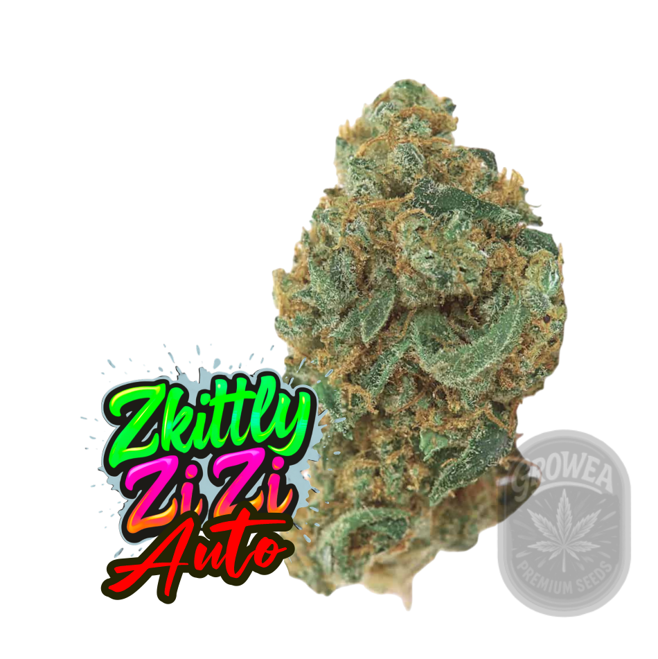 ZKITTLY ZI ZI Auto