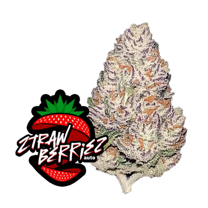 Ztrawberriez Auto