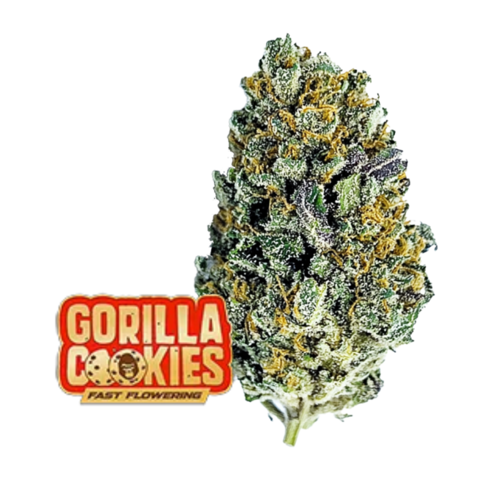 Gorilla Cookies FF