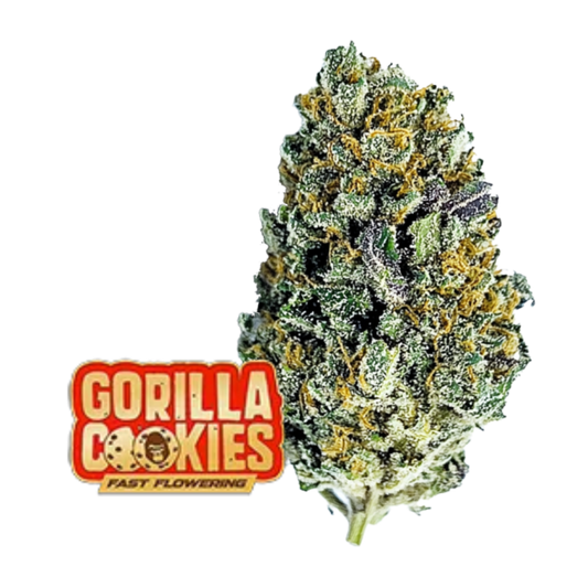 Gorilla Cookies FF