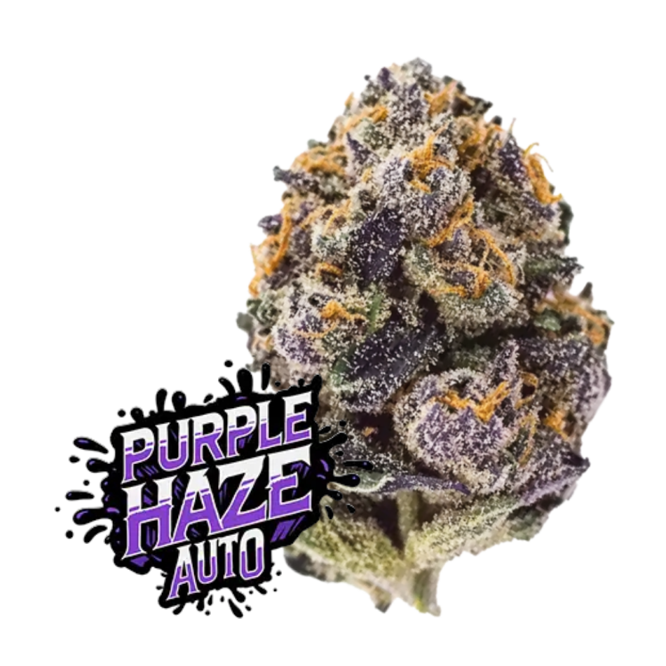 Purple Haze Auto