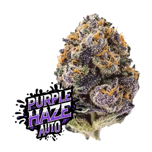 Purple Haze Auto