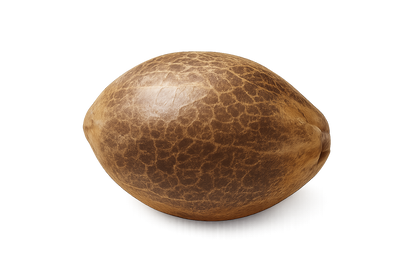 Wedding Cheesecake Auto