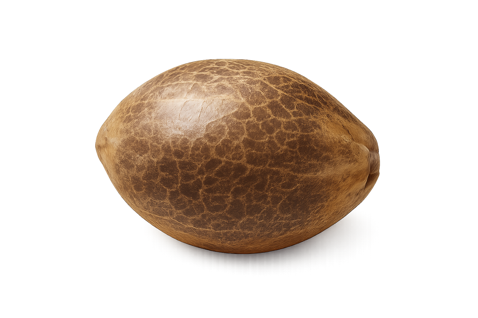 Bubble  Gum Extra auto